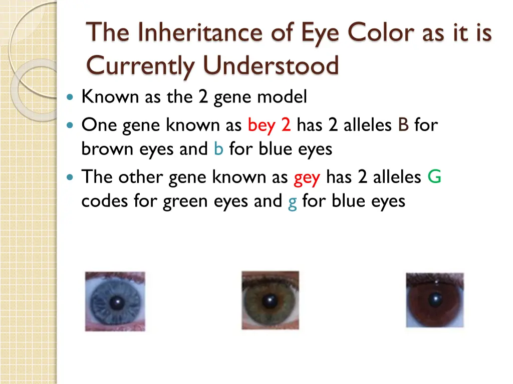 the inheritance of eye color as it is currently