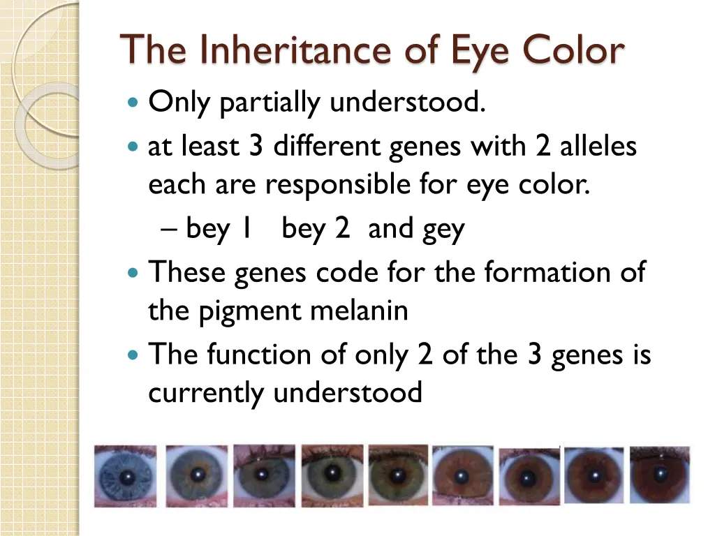 the inheritance of eye color only partially