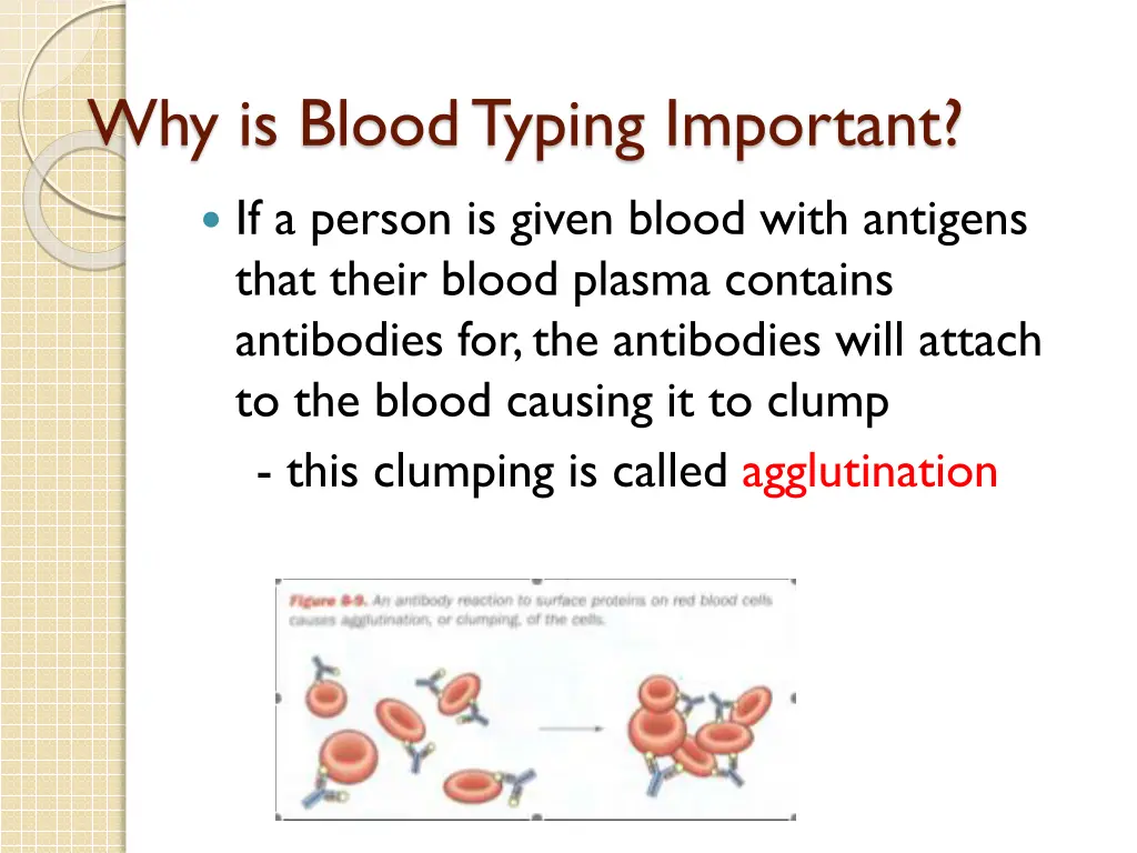 why is blood typing important