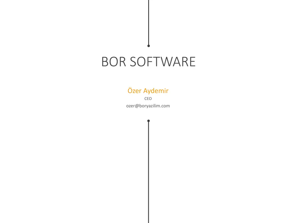 bor software