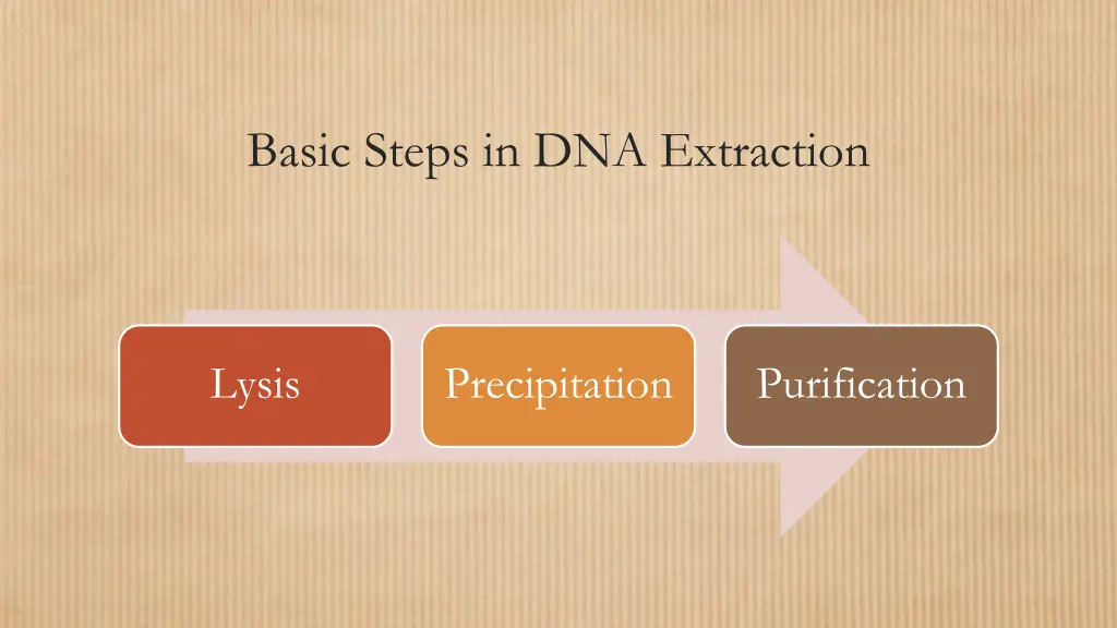 basic steps in dna extraction