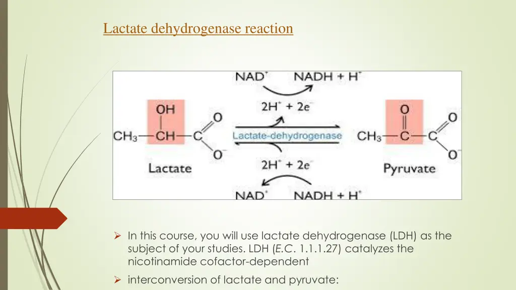 lactate dehydrogenase reaction