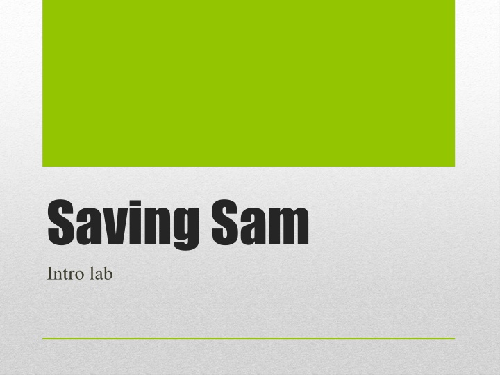 saving sam intro lab