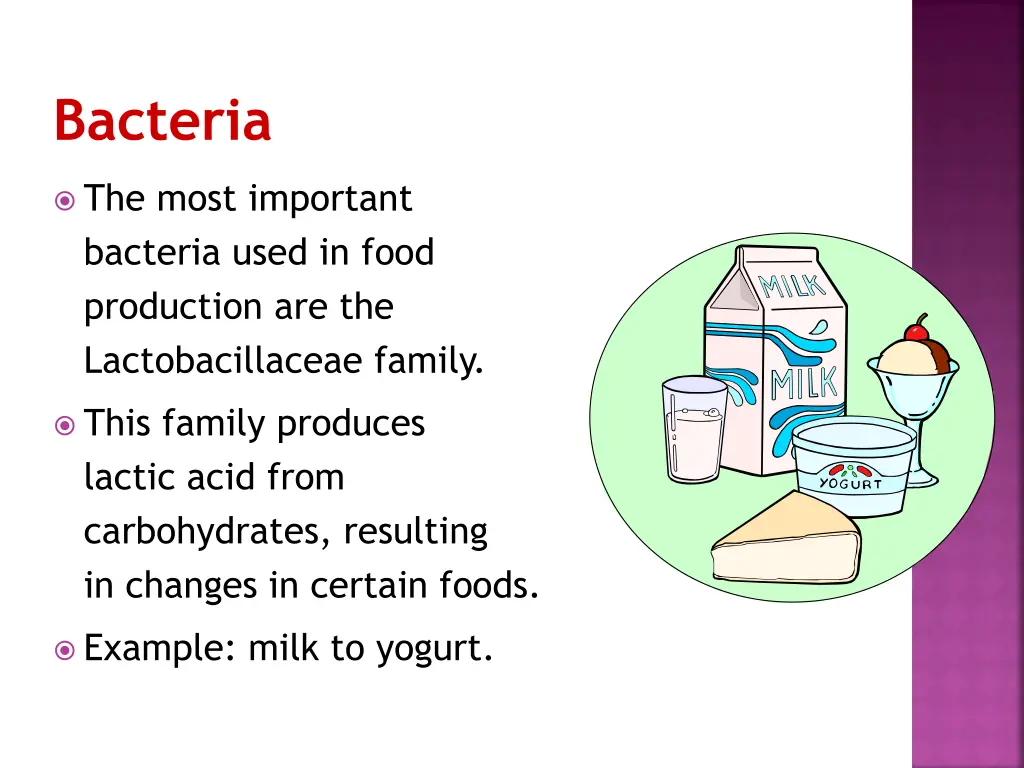 bacteria