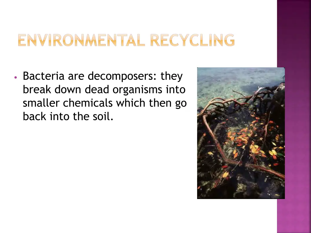 environmental recycling