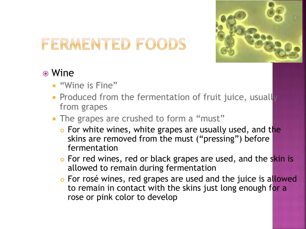 fermented foods 1