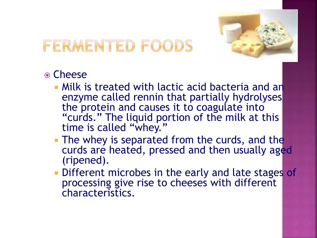 fermented foods 3