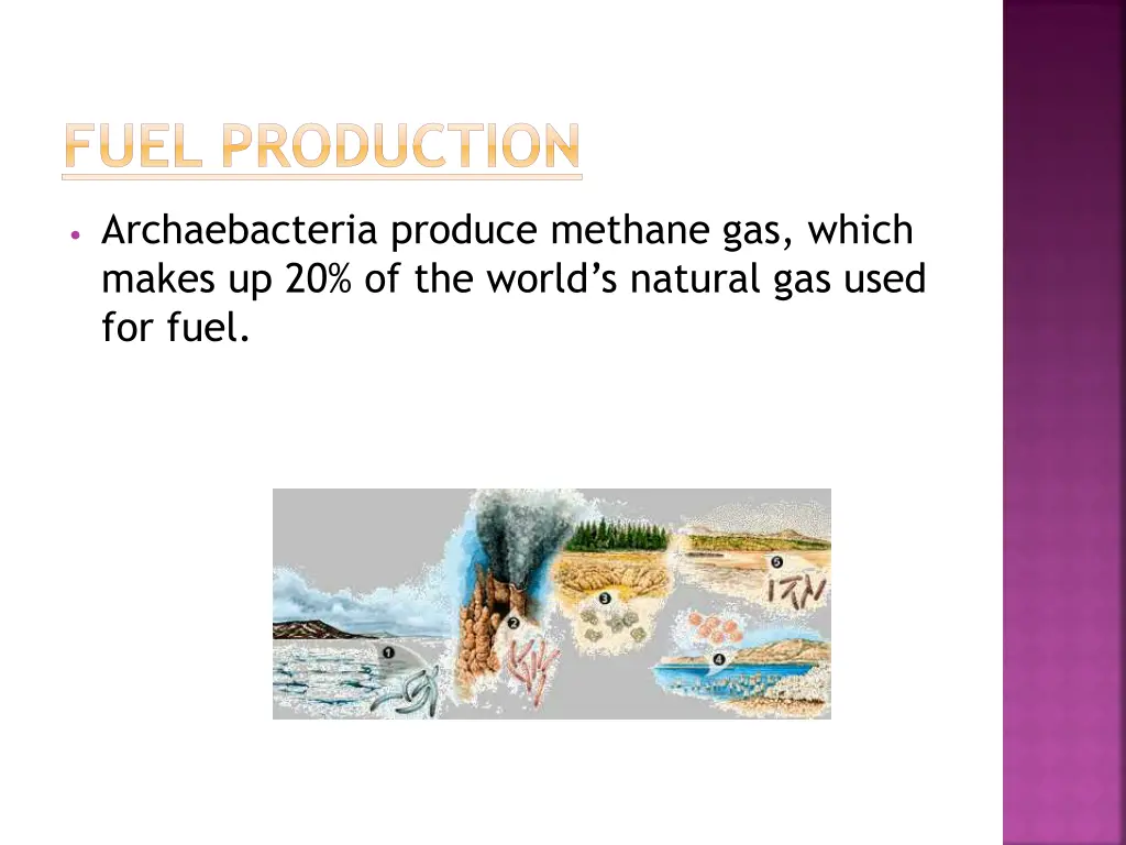 fuel production