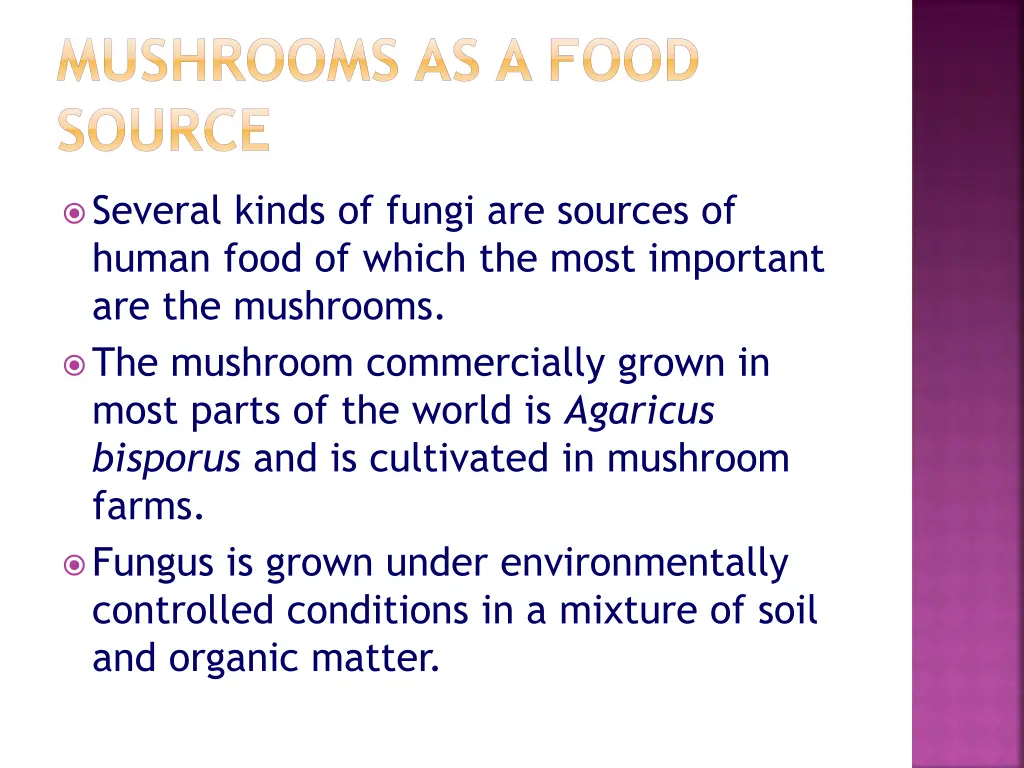 mushrooms as a food source