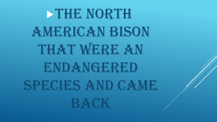 the north american bison that were an endangered