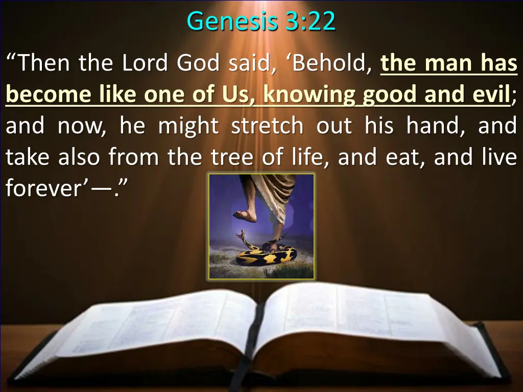 genesis 3 22