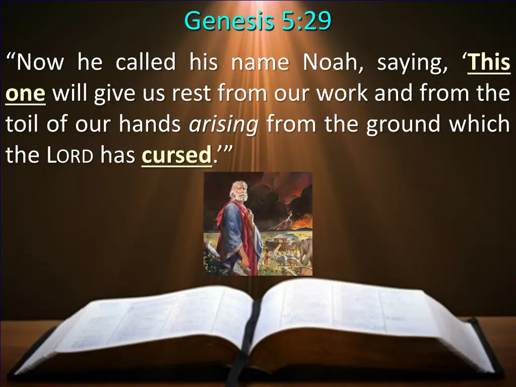 genesis 5 29