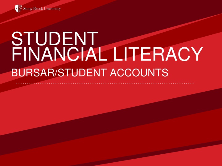 student financial literacy bursar student accounts