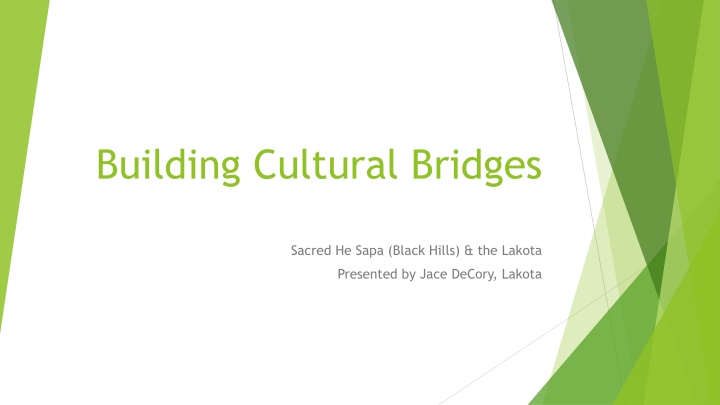 building cultural bridges