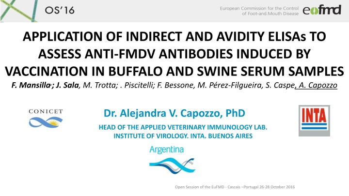 application of indirect and avidity elisas