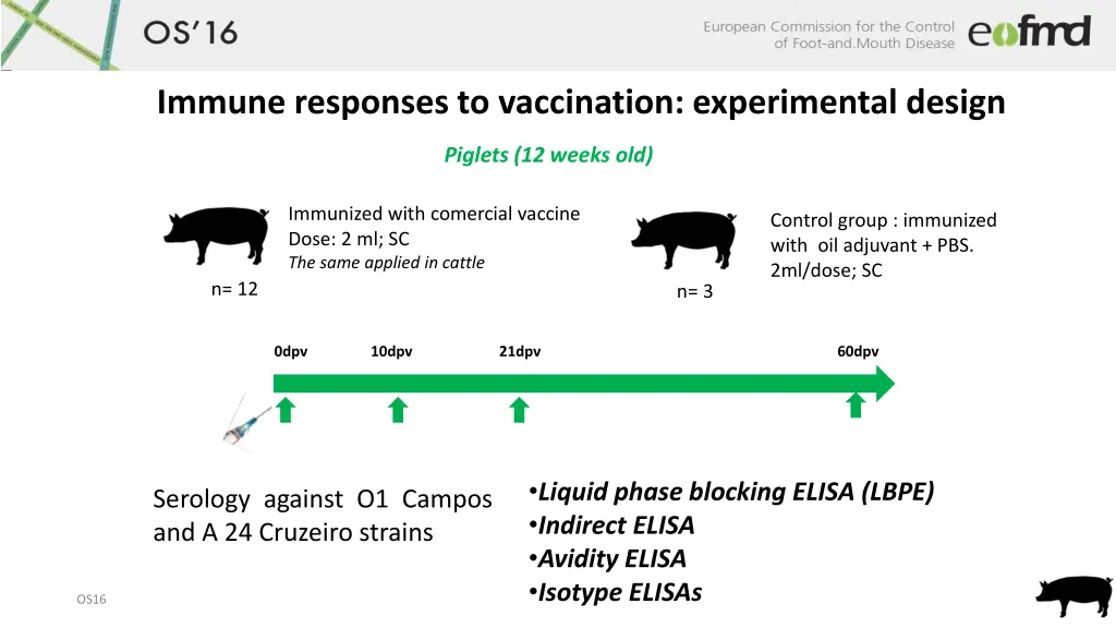 immune responses to vaccination experimental