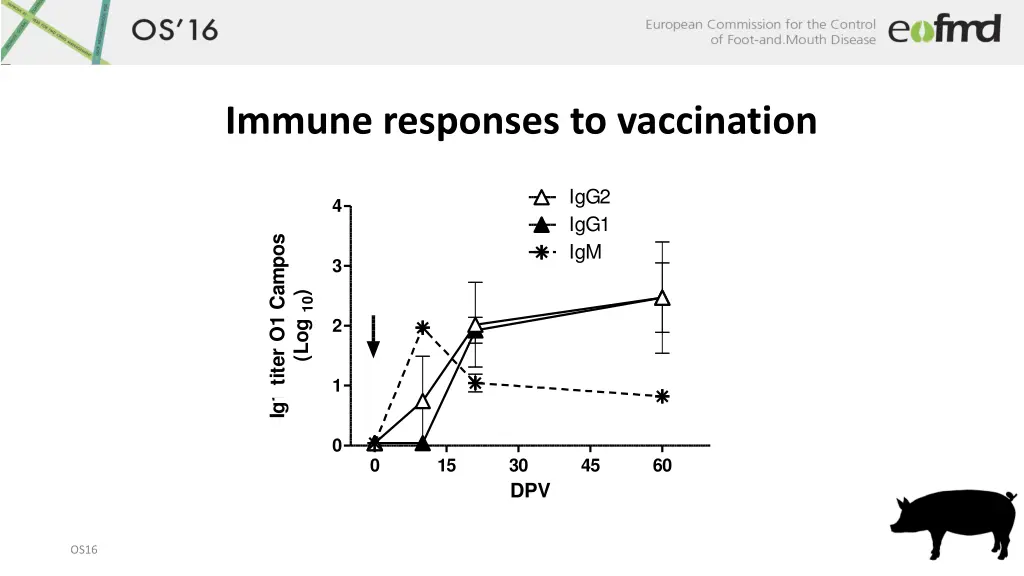 immune responses to vaccination