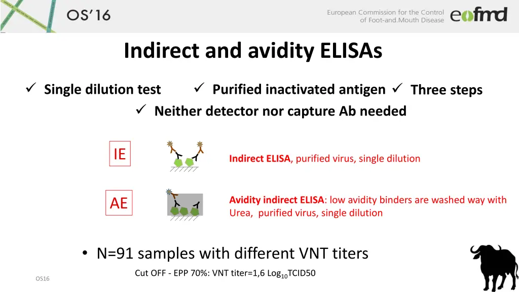 indirect and avidity elisas