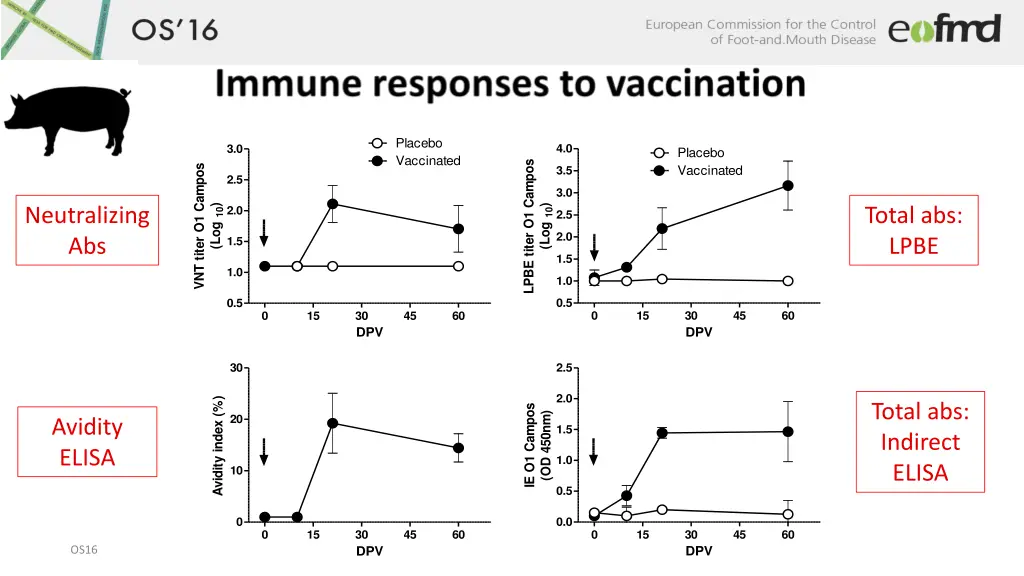 placebo vaccinated