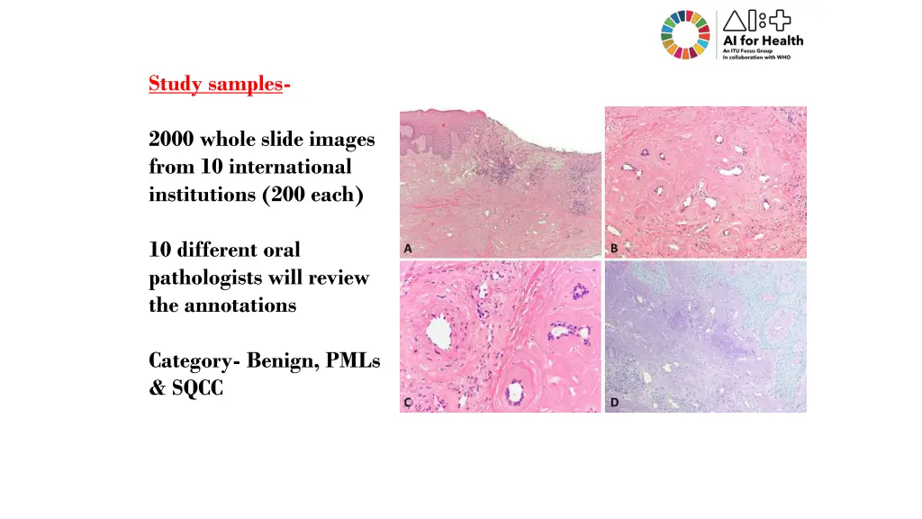 study samples