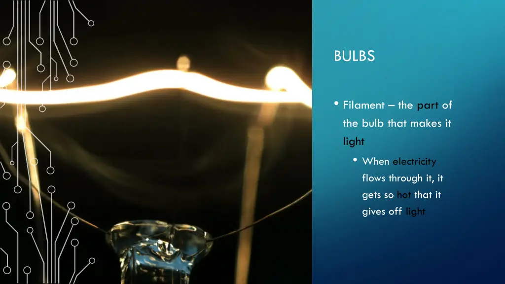 bulbs