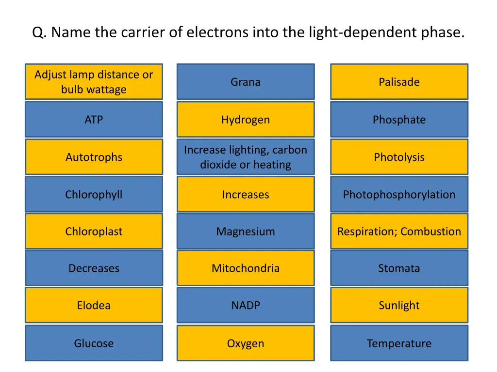 q name the carrier of electrons into the light