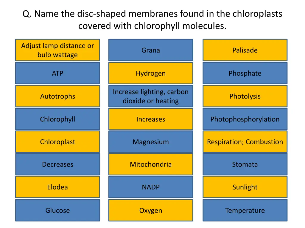 q name the disc shaped membranes found