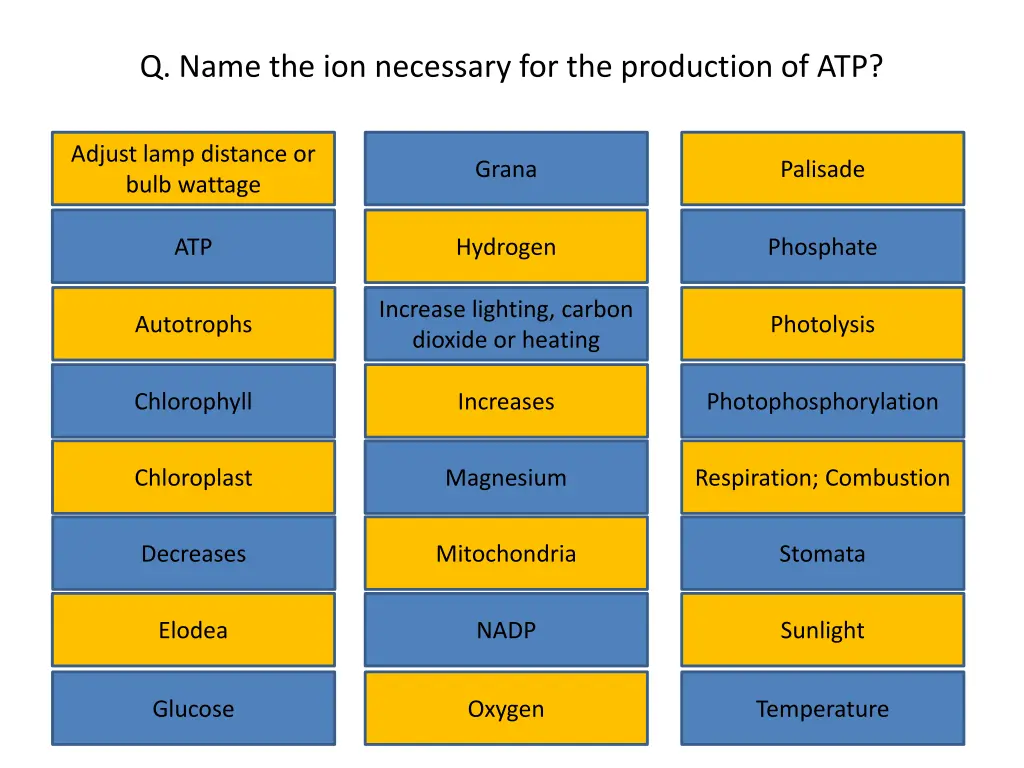 q name the ion necessary for the production of atp