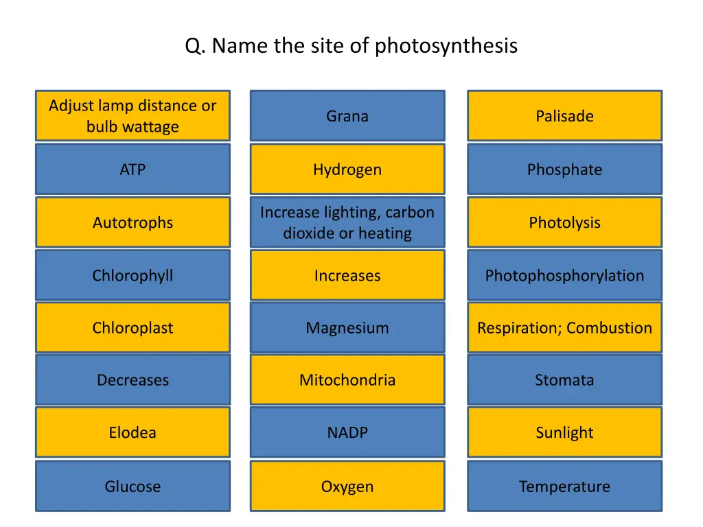 q name the site of photosynthesis