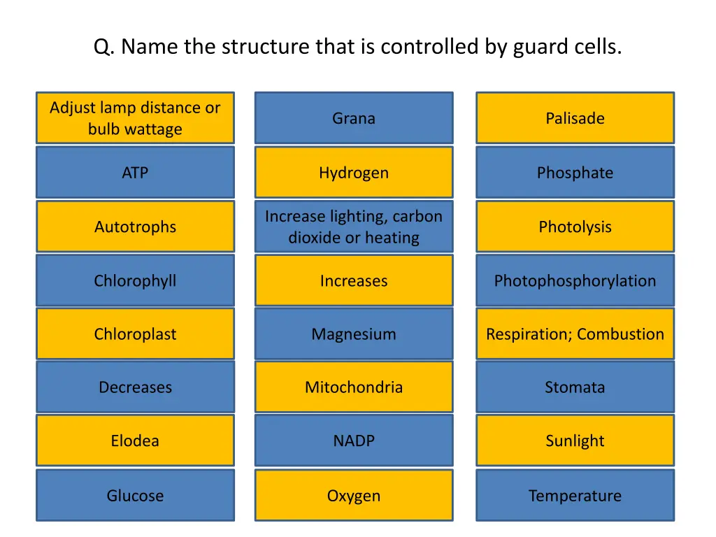 q name the structure that is controlled by guard