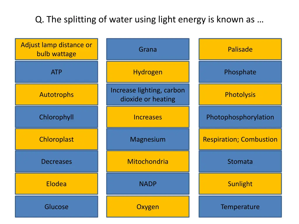 q the splitting of water using light energy