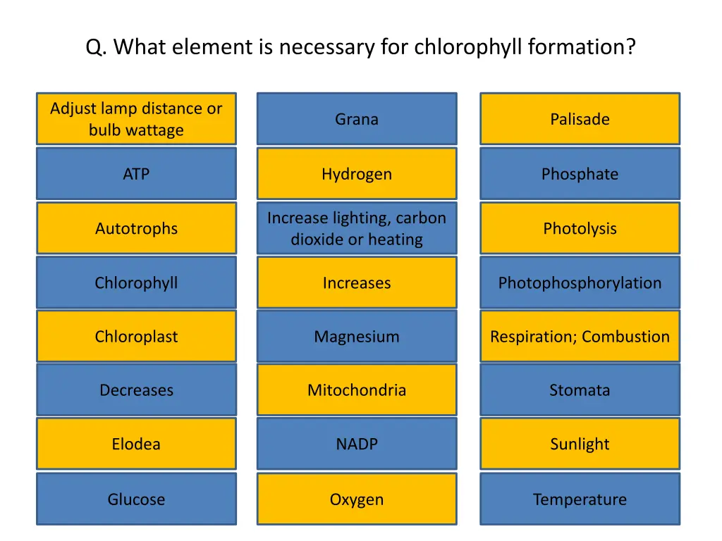 q what element is necessary for chlorophyll