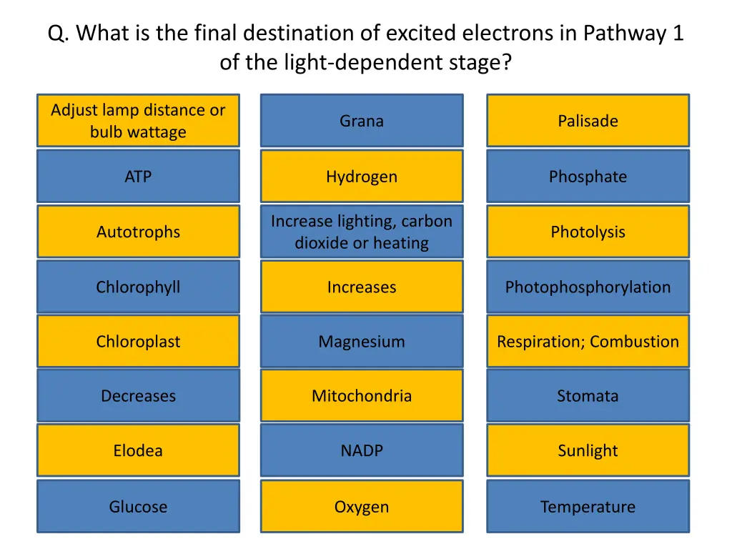 q what is the final destination of excited