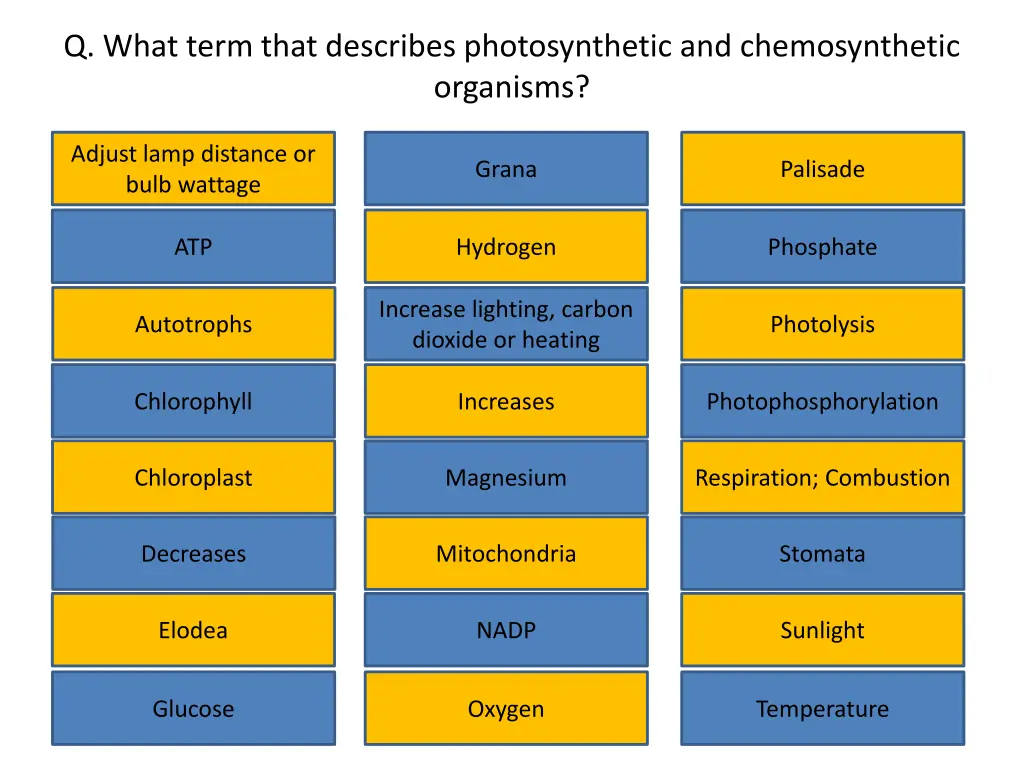 q what term that describes photosynthetic