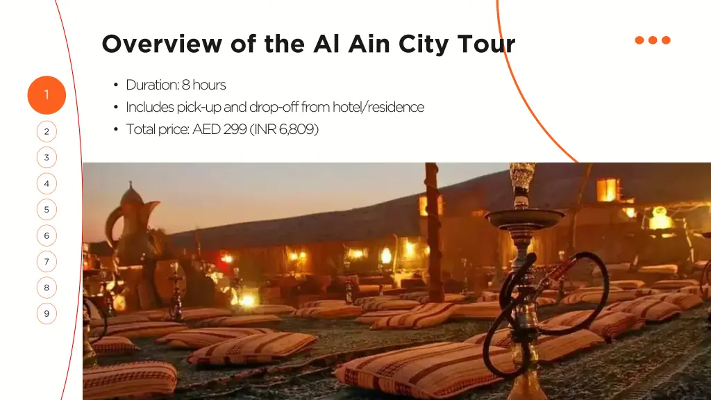 overview of the al ain city tour