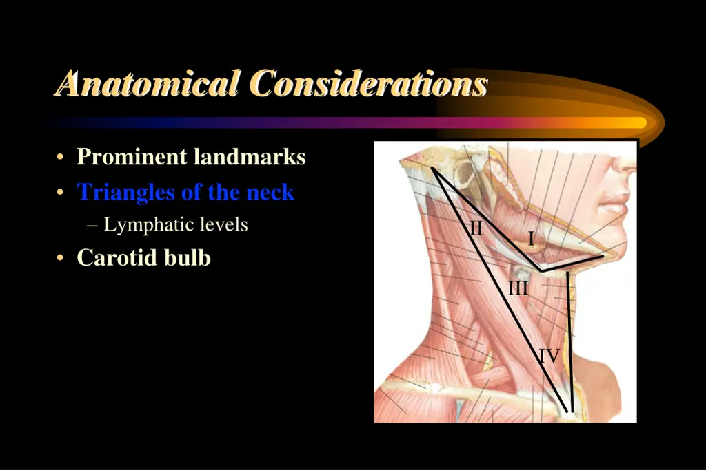 anatomical considerations 4