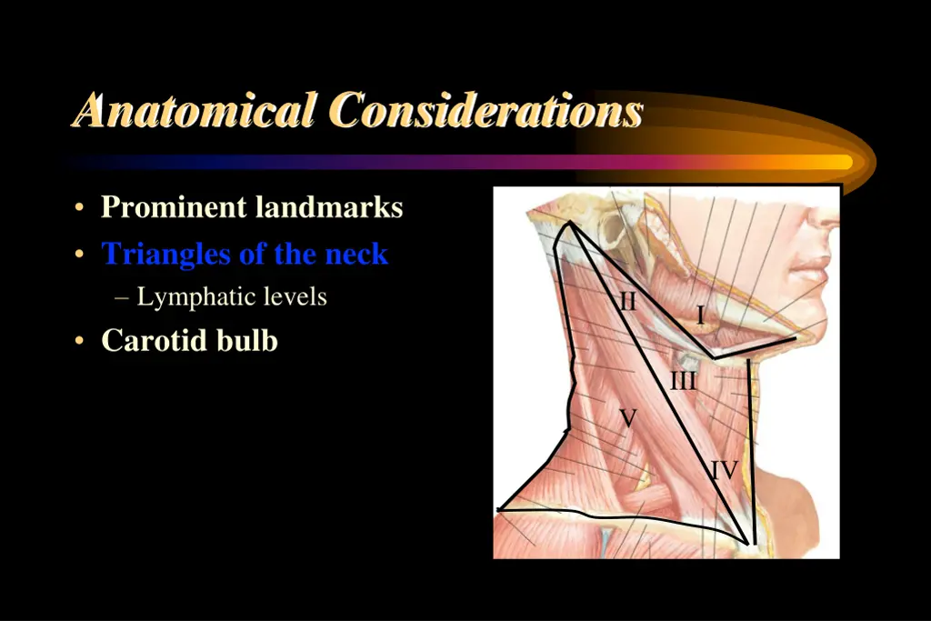 anatomical considerations 6