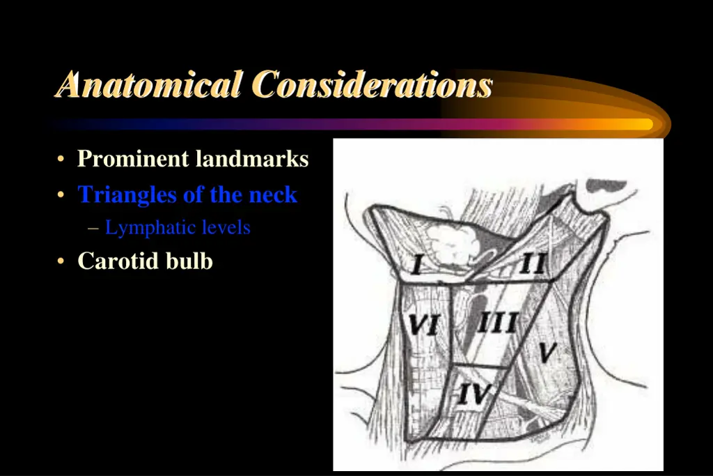 anatomical considerations 7