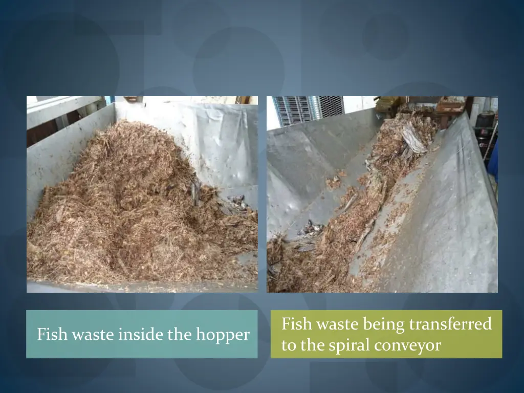 fish waste being transferred to the spiral