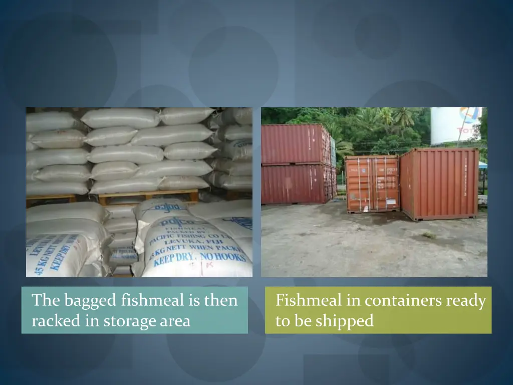 the bagged fishmeal is then racked in storage area