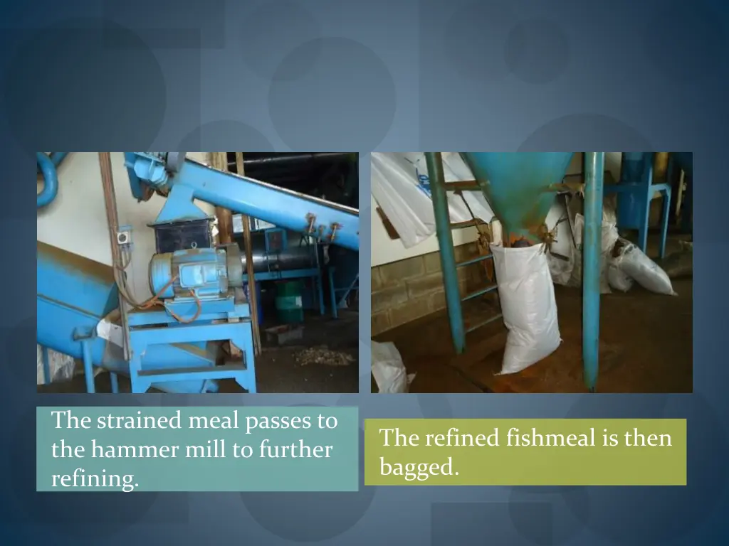 the strained meal passes to the hammer mill