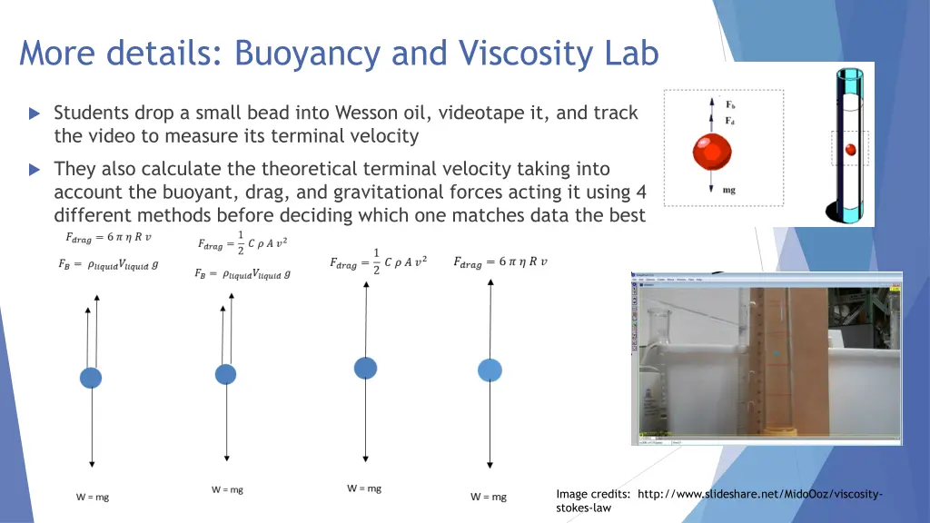 more details buoyancy and viscosity lab