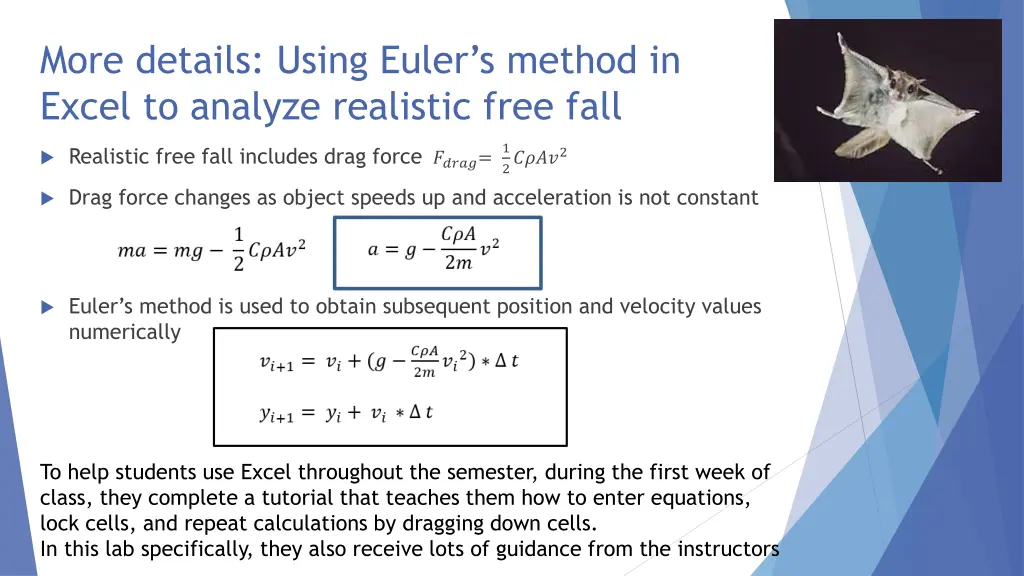 more details using euler s method in excel