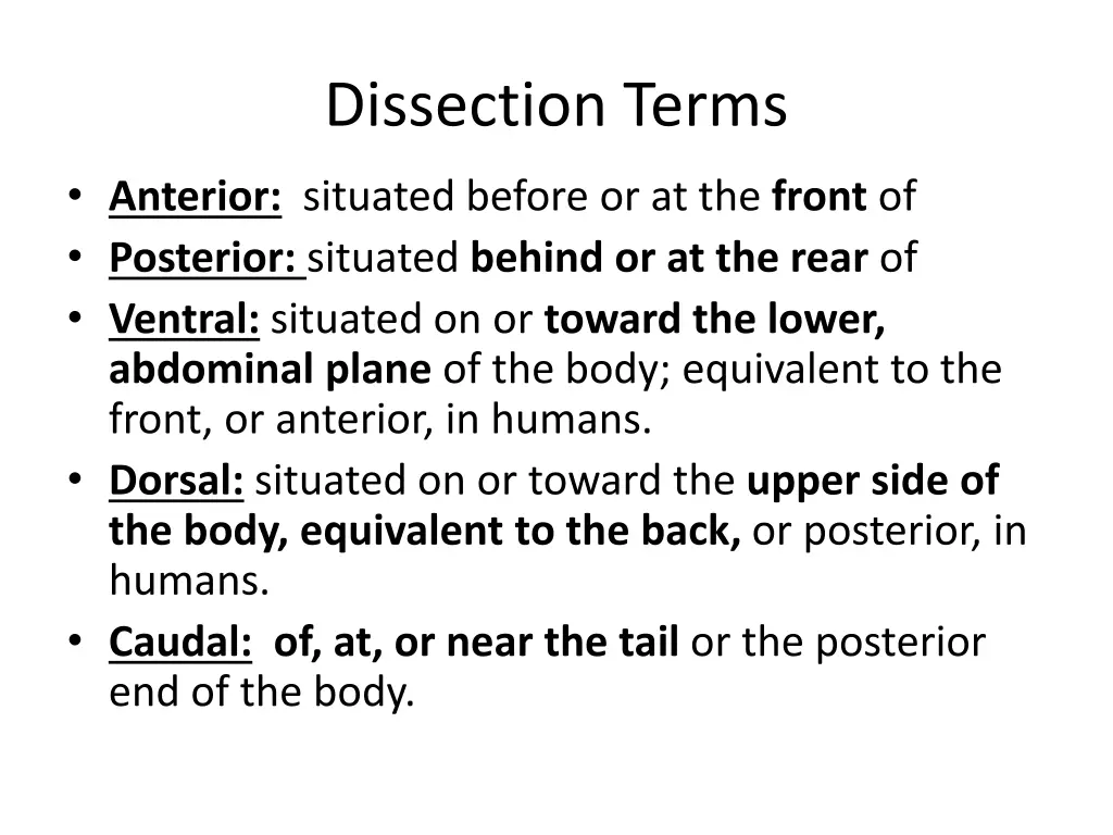 dissection terms