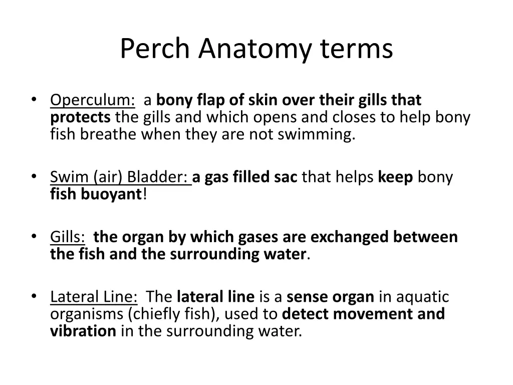 perch anatomy terms