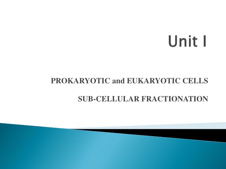 prokaryotic and eukaryotic cells