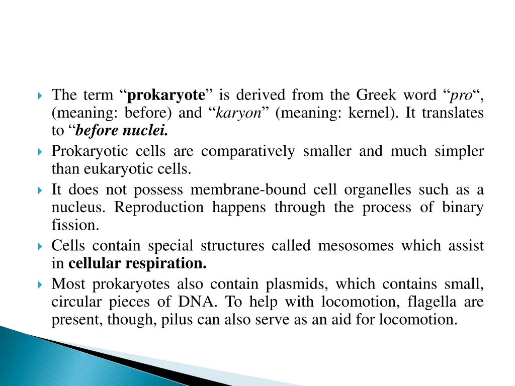 the term prokaryote is derived from the greek