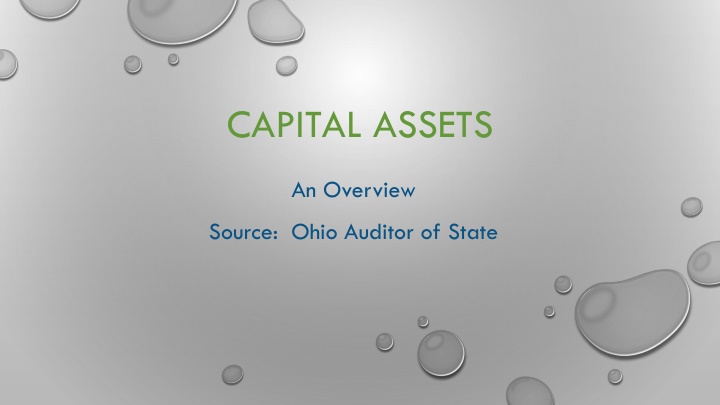 capital assets