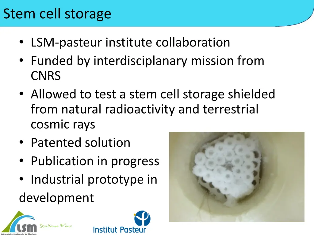 stem cell storage