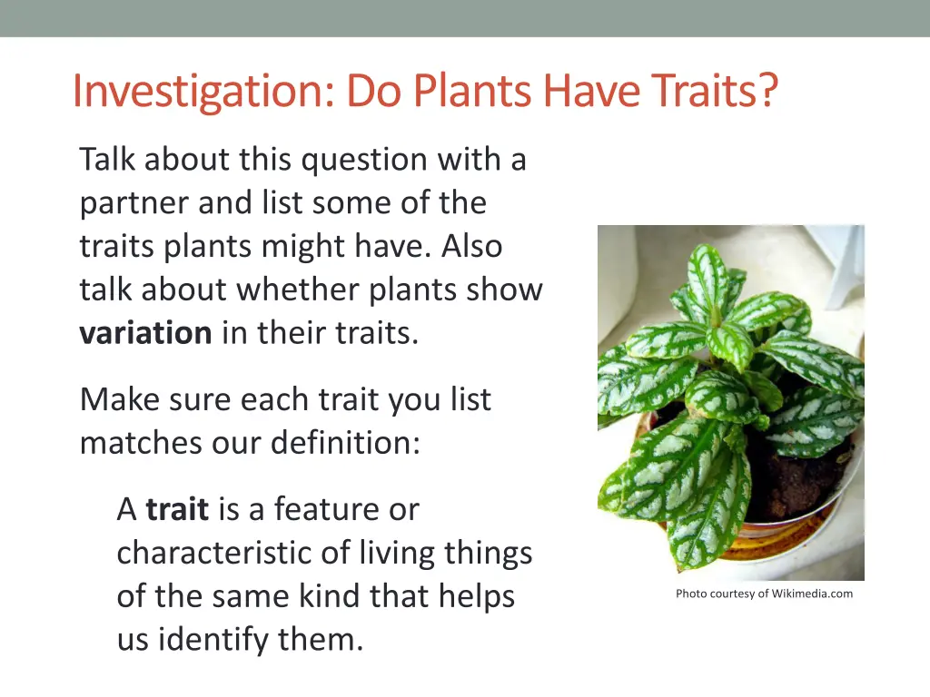 investigation do plants have traits 1